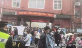 邯郸邯山区新瓜最新爆料,揭秘神秘瓜果背后的故事”